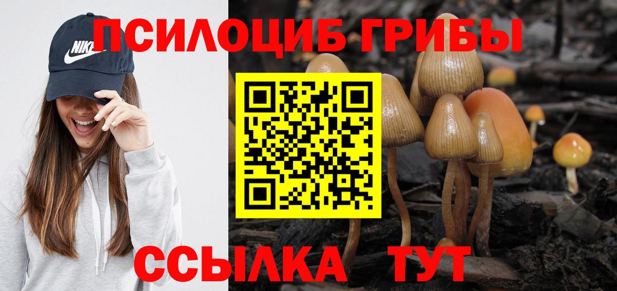 Благодарный  Псилоцибиновые грибы Psilocybine cubensis  Вход с VPN  Псилоцибиновые грибы MAGIC MUSHROOMS 